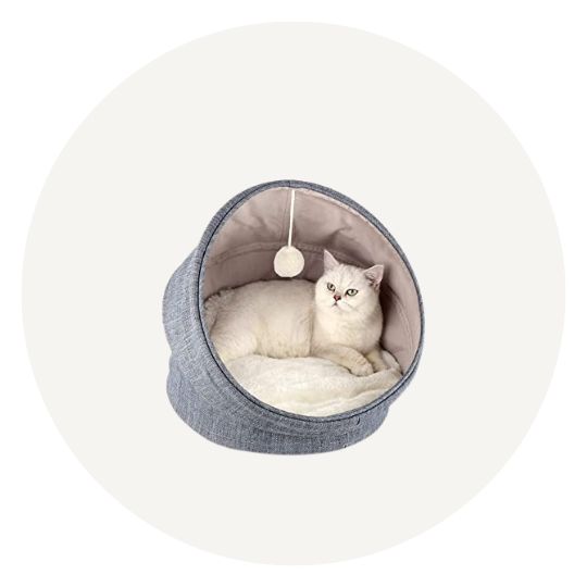 أثاث الحيوانات الأليفة