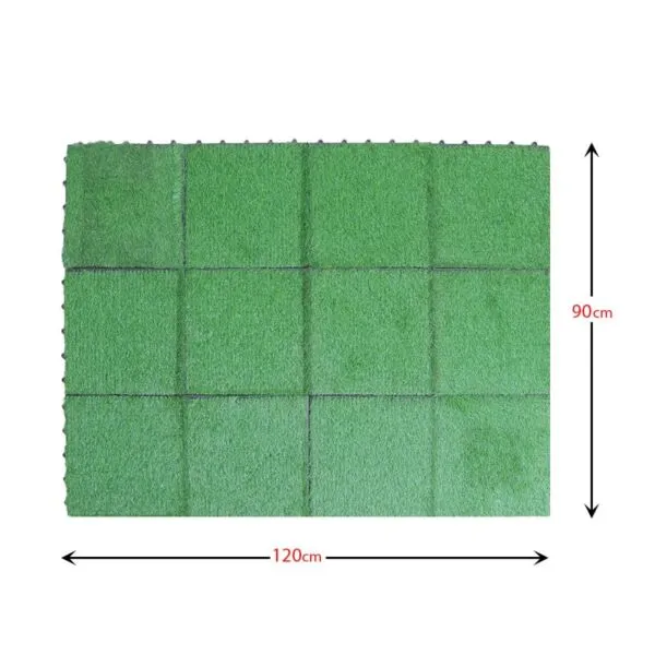 baytonia_gallery_image