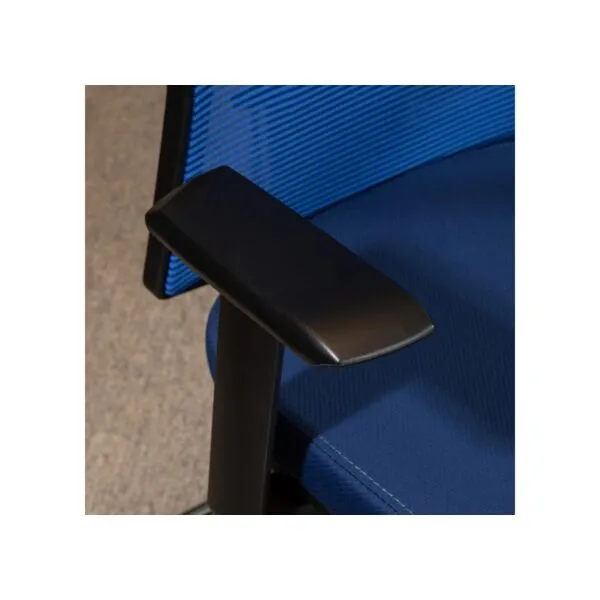 baytonia_gallery_image