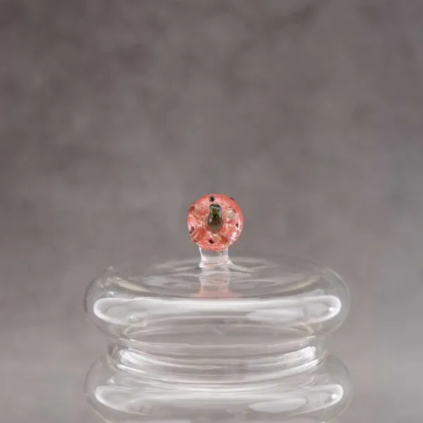 baytonia_gallery_image