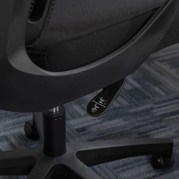 baytonia_gallery_image