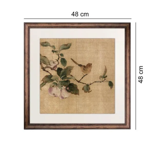 baytonia_gallery_image