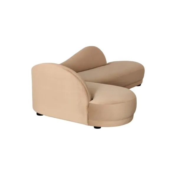 baytonia_gallery_image