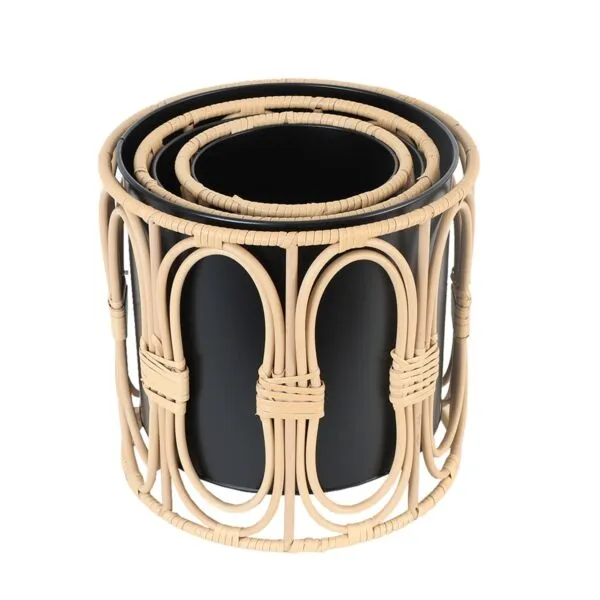 baytonia_gallery_image