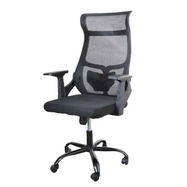 baytonia_gallery_image