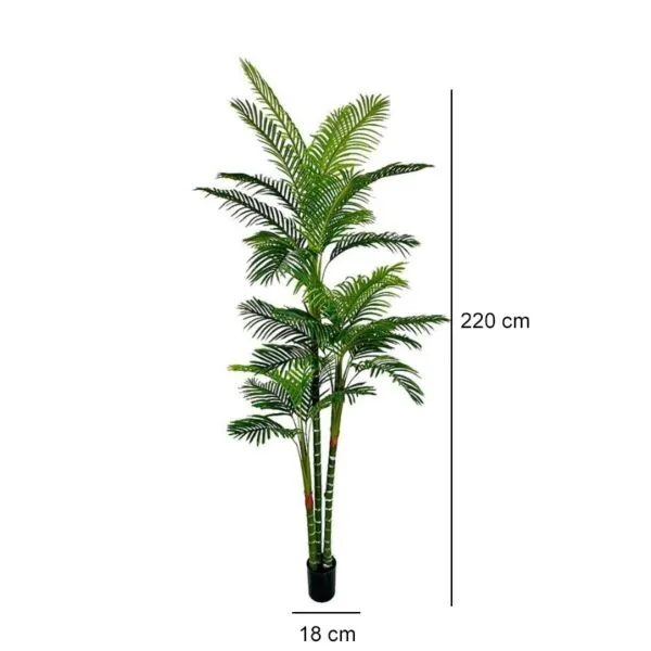 baytonia_gallery_image