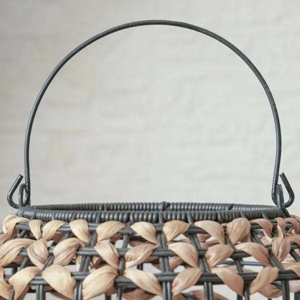 baytonia_gallery_image