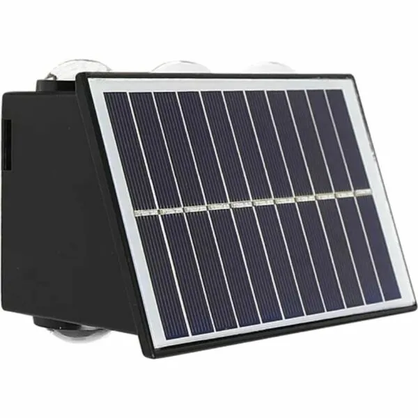 baytonia_gallery_image