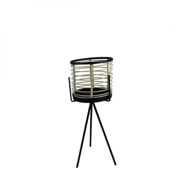 baytonia_gallery_image