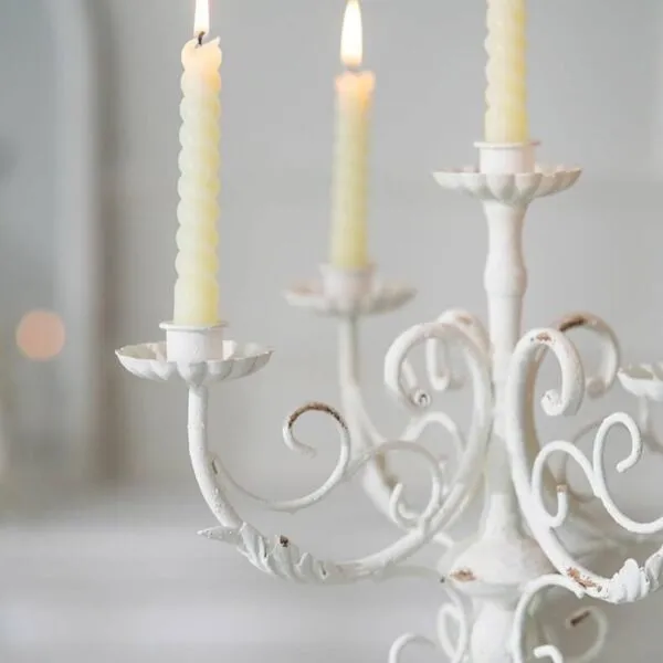 baytonia_gallery_image