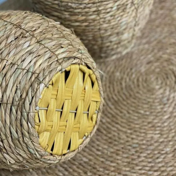 baytonia_gallery_image