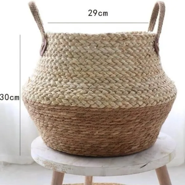 baytonia_gallery_image