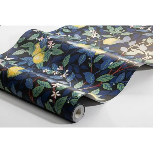 baytonia_gallery_image