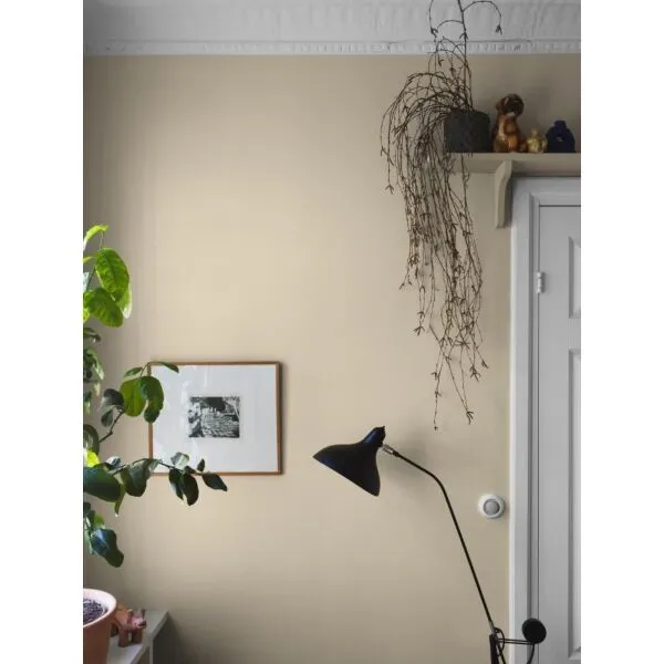 baytonia_gallery_image