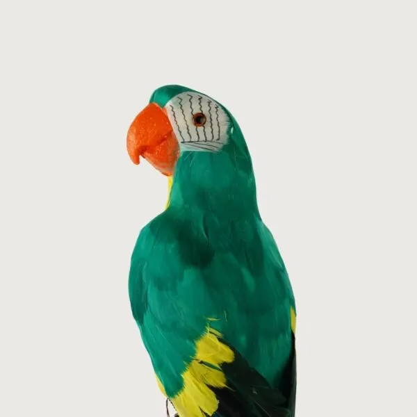 baytonia_gallery_image