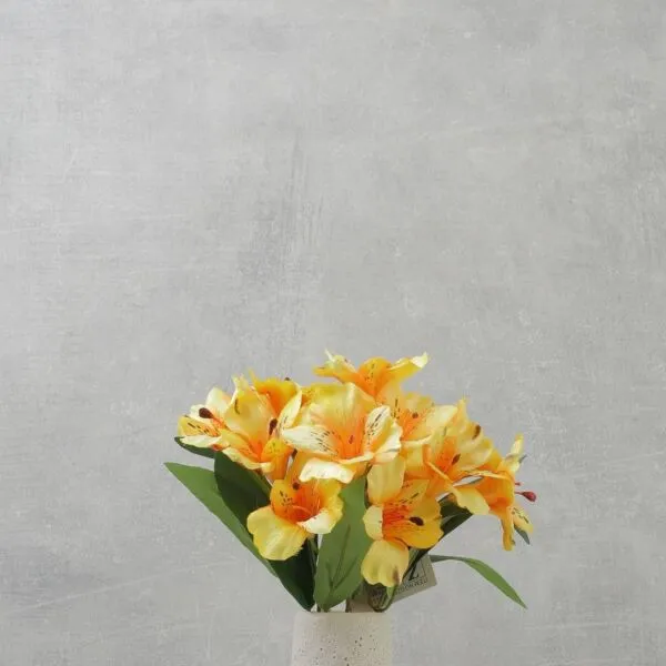 baytonia_gallery_image