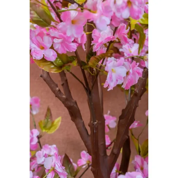 baytonia_gallery_image