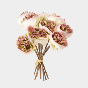 زهر صناعي,وردة بيوني/ موف