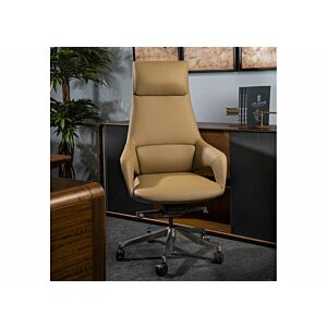 كرسي مكتب ظهر عالى اكسبيرت