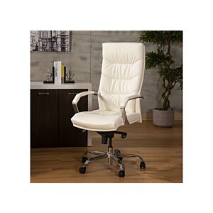 كرسي مكتب ظهر مرتفع ليستر