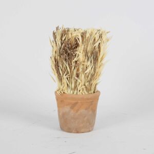 مركن زرع مع زهور