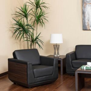 كنبة مكتبية مفردة سنودرفت