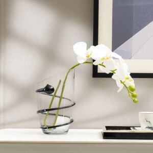 فازة كيلمور - شفاف