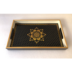 صينية تقديم فين مستطيل زجاج بإطار بلاستيك متعدد الالوان