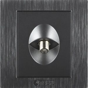 فيش دانو منفذ دش مفرد لون رمادي جرافيت توفل