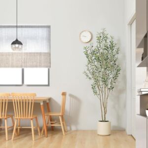 شجرة زيتون مميزة 210 سم