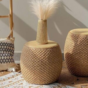 بوف صغير ايلي - بيج