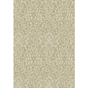 ورق جدران آلا تايدرز هوس آندري - متعدد الالوان