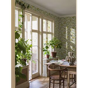 ورق جدران اورانجري - ابيض