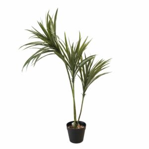 شجرة درسينا صناعية - 1متر