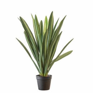 شجرة صبار صناعية - 80سم