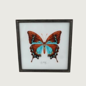 لوحة مع برواز لطائر التدرج 