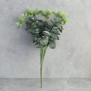 فرع شجرة أوكالبتوس - 12 قطعة