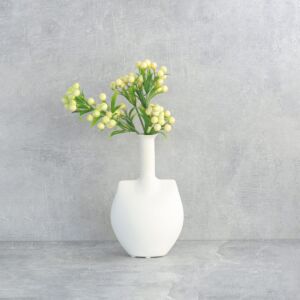 فرع نبتة توت بري