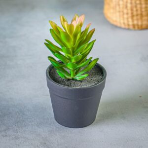 نبات صناعي مورا - أسود ومتعدد الألوان - 12 قطعة