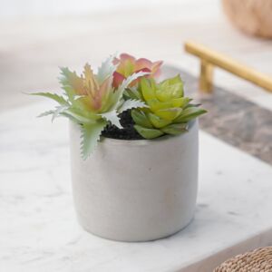 نبات صناعي كوزيت - رمادي ومتعدد الألوان - 12 قطعة