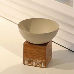 طبق تقديم يران - بيج